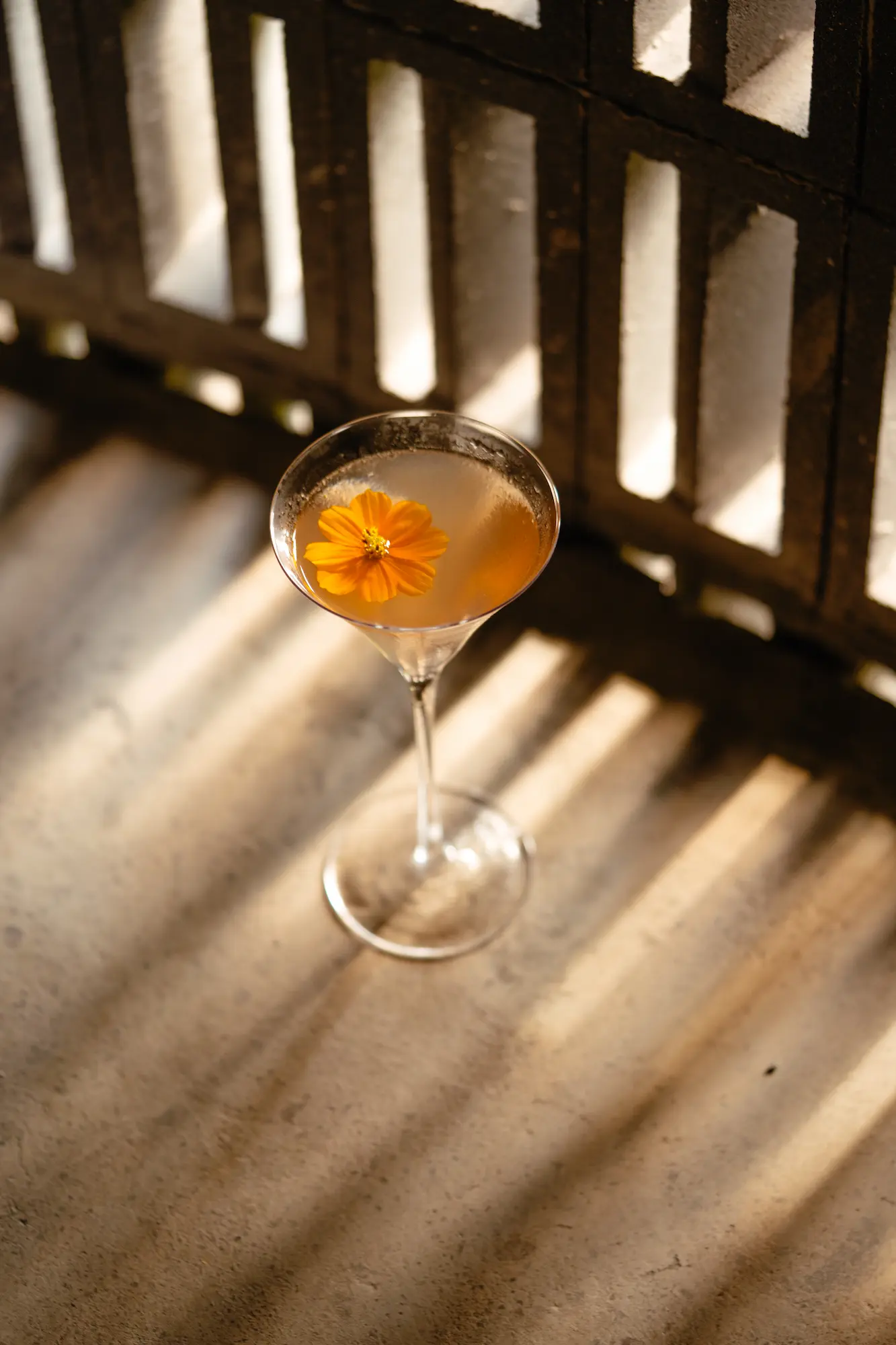 Bar Images